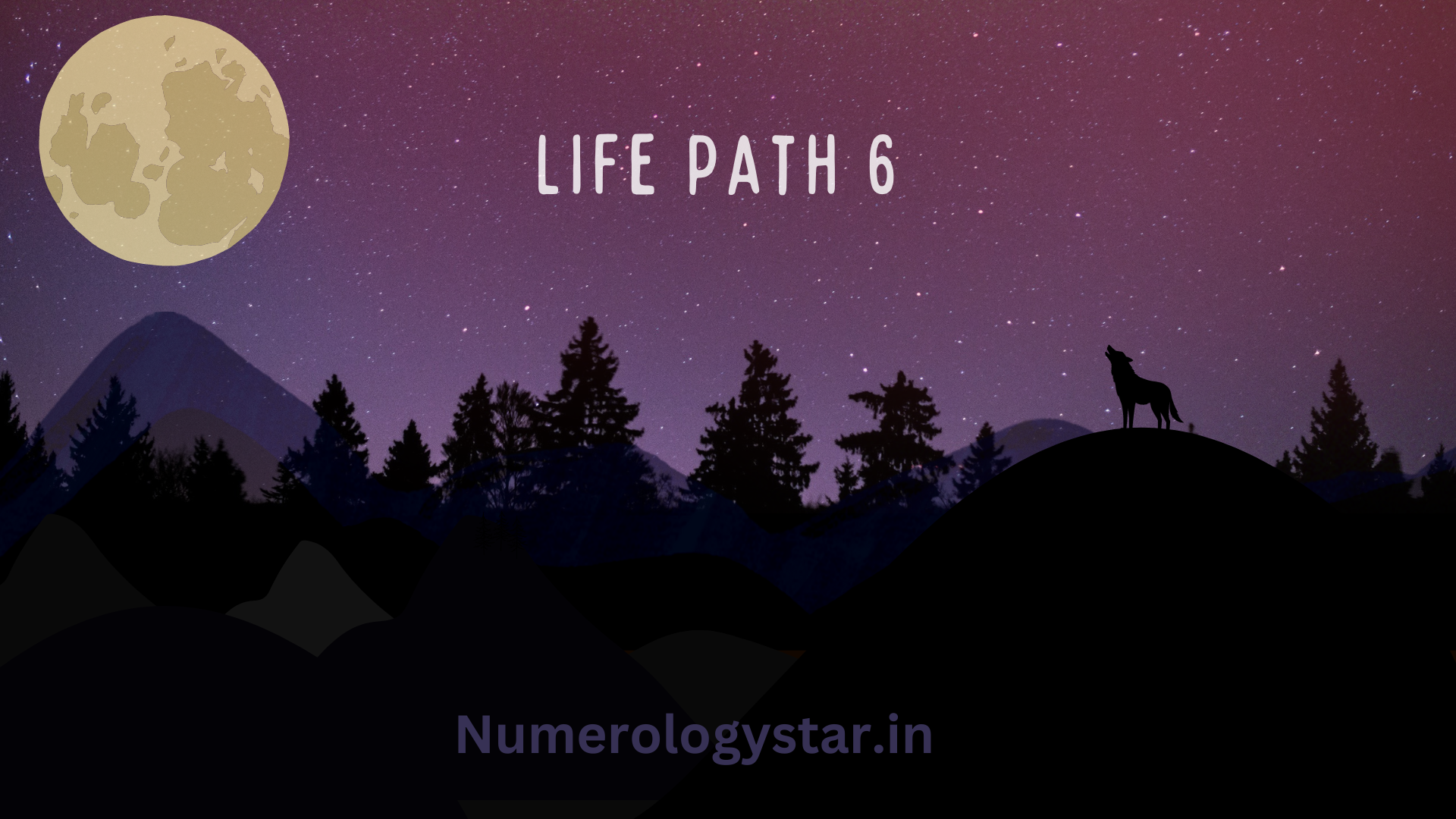 Life Path 6
